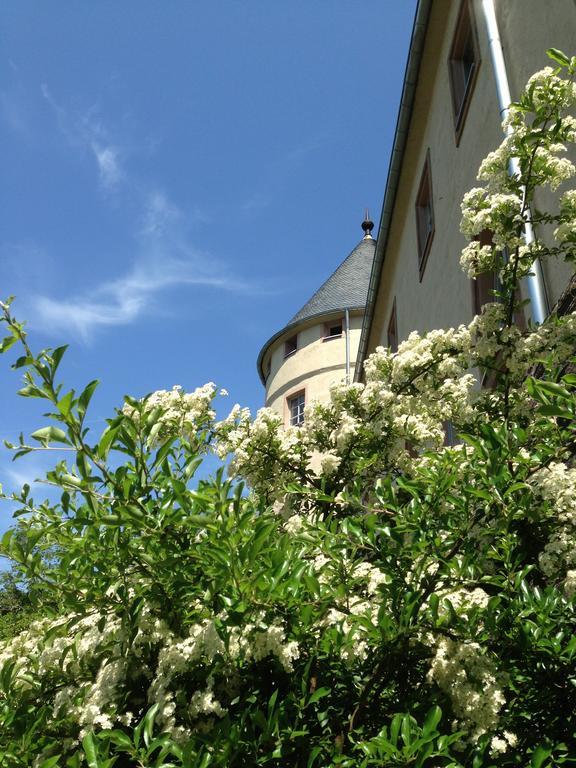 Ev.Familienferien-Und Bildungsstaette Ebernburg Hotel Bad Münster am Stein-Ebernburg Buitenkant foto