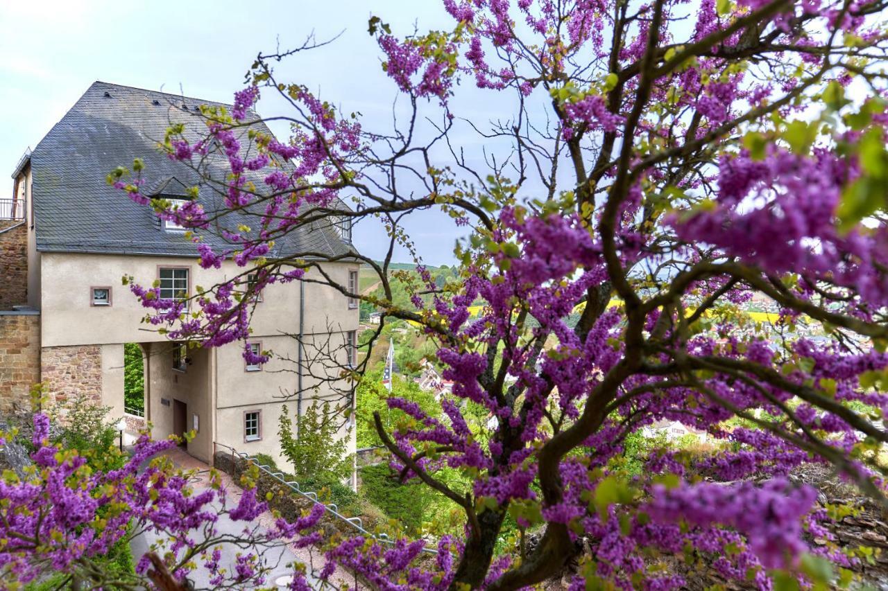 Ev.Familienferien-Und Bildungsstaette Ebernburg Hotel Bad Münster am Stein-Ebernburg Buitenkant foto
